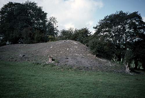 Allmands spoil heap, Coed-y-Go