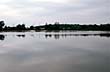 Betton Pool