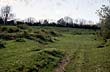 Ancient grassland, Wenlock Edge