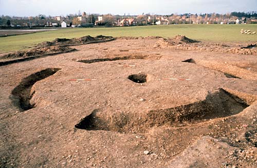 Excavated ring-ditch at Meole Brace
