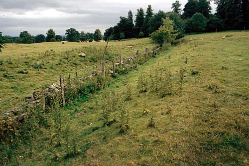 Castell Brogyntyn